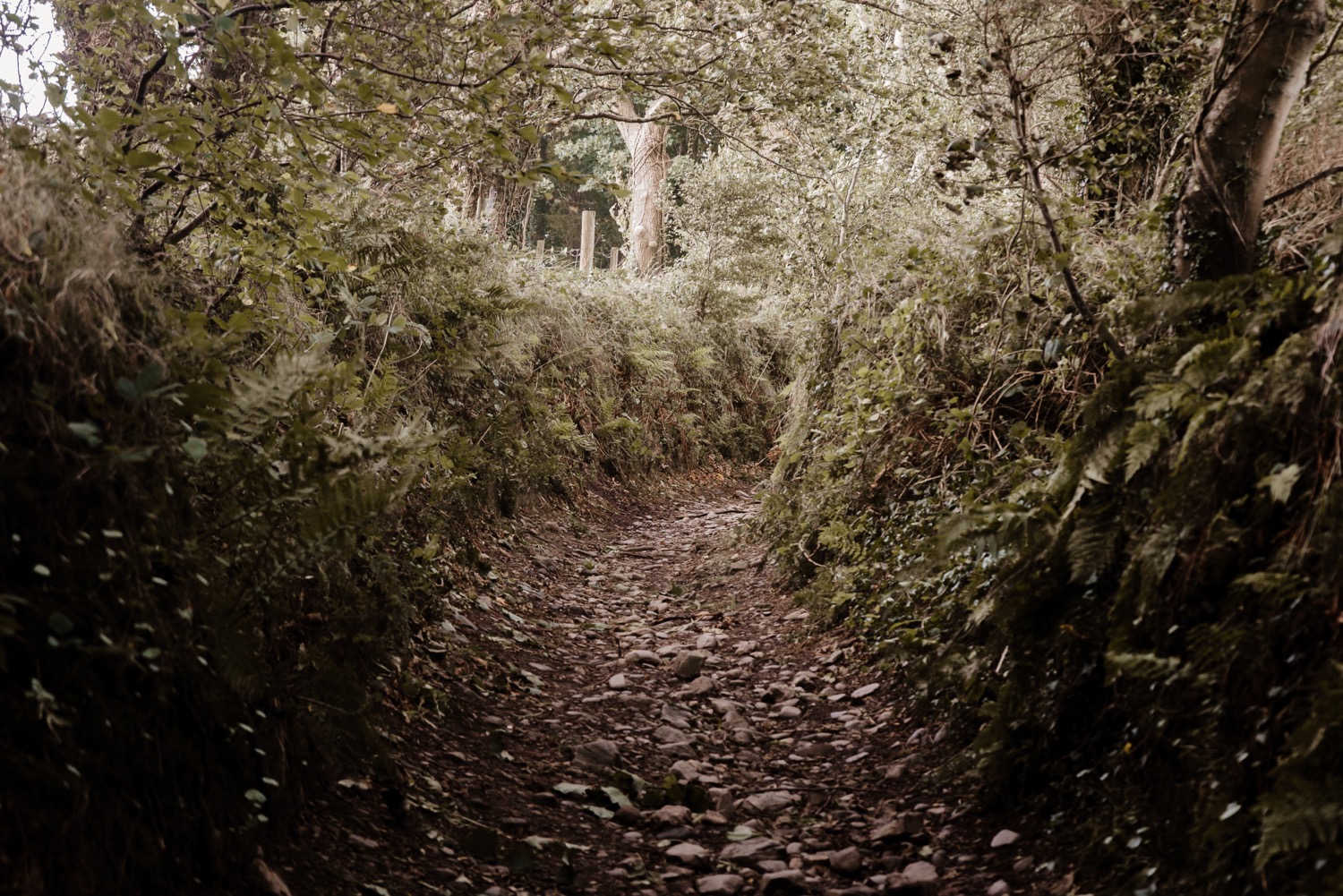 places-to-visit-on-the-Isle-of-Man-real-fairy-bridge-fairies-douglas
