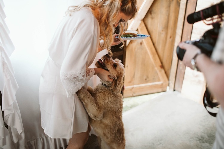 Conor Megan Bloom Lake Barn Mn Wedding Kiley Marissa