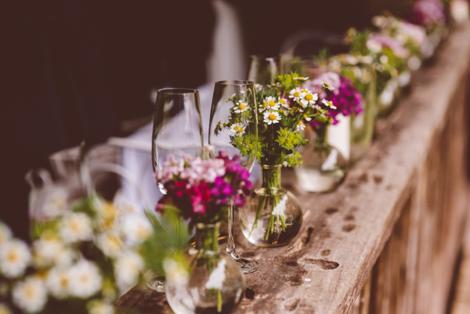 Garden Wedding Documentation At Janson Bernhard Winery Pfalz 