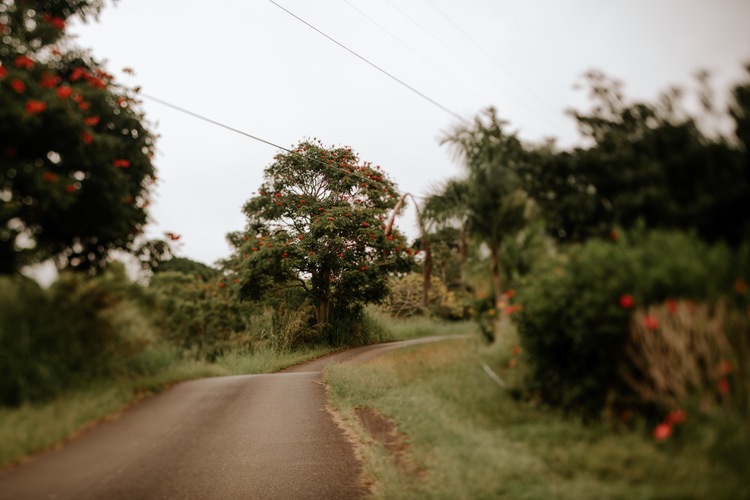 Sunshower Farms Kona Coffee Farm And Event Venue Affordable