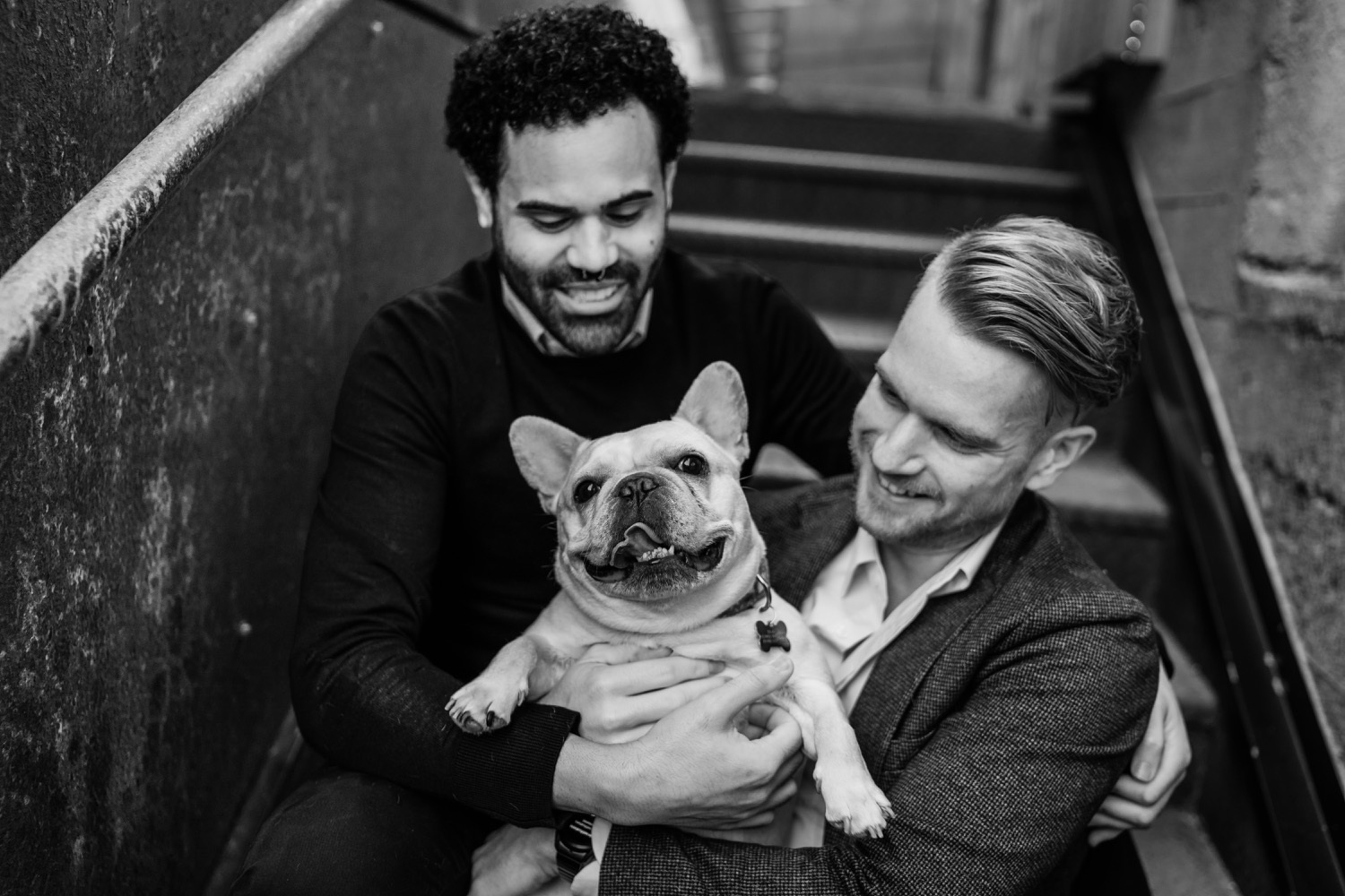 Couple holding Frenchie in their arms during couples session