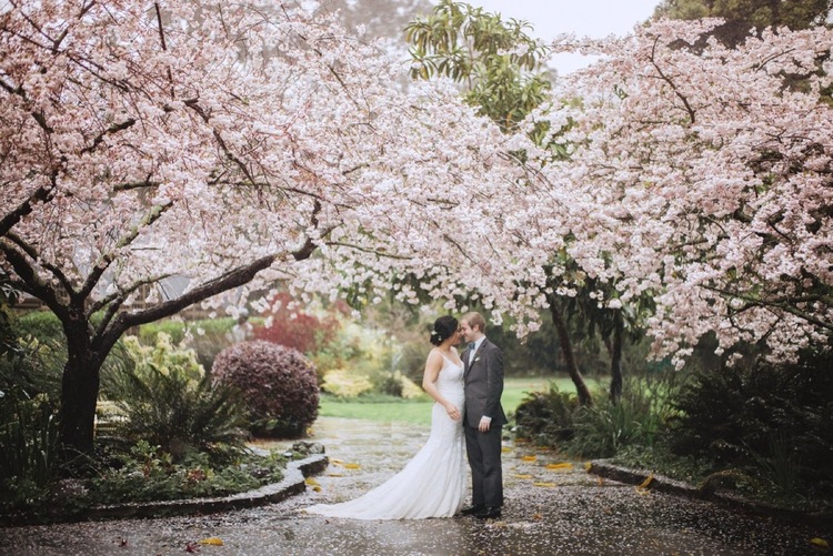 cherry blossom wedding venue