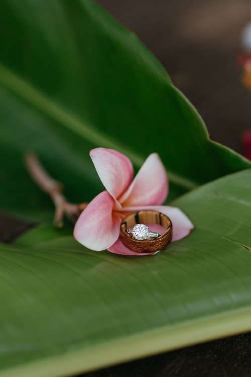 Rhys & Jayme // Gorgeous Surprise La Jolla Proposal — Valerie Lendvay Photo