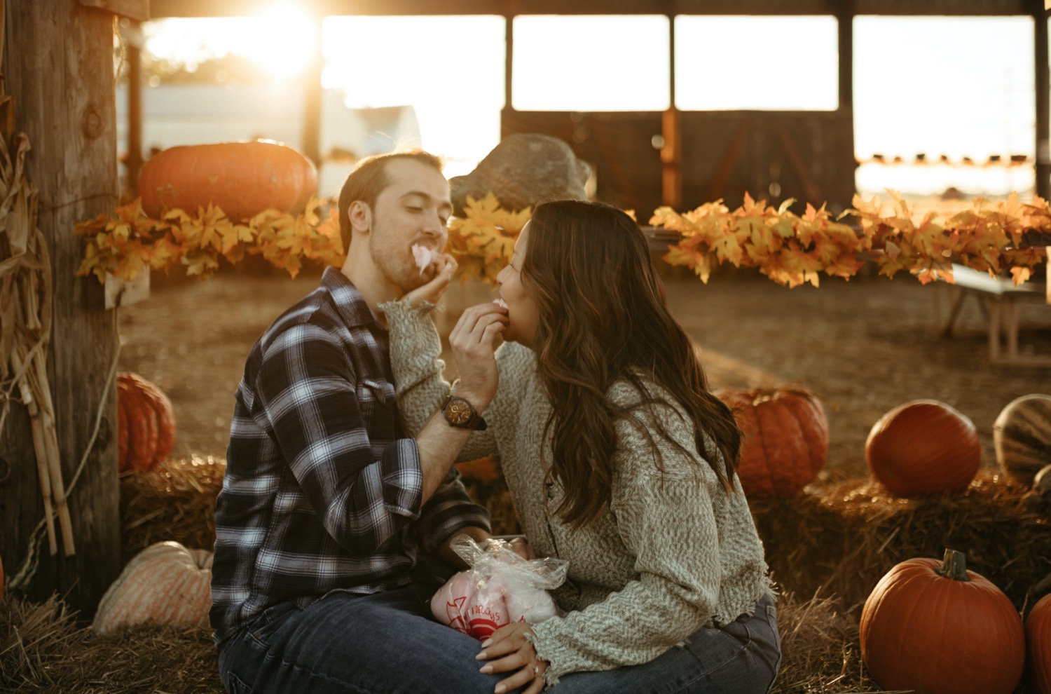 cedar creek pumpkin patch wichita ks