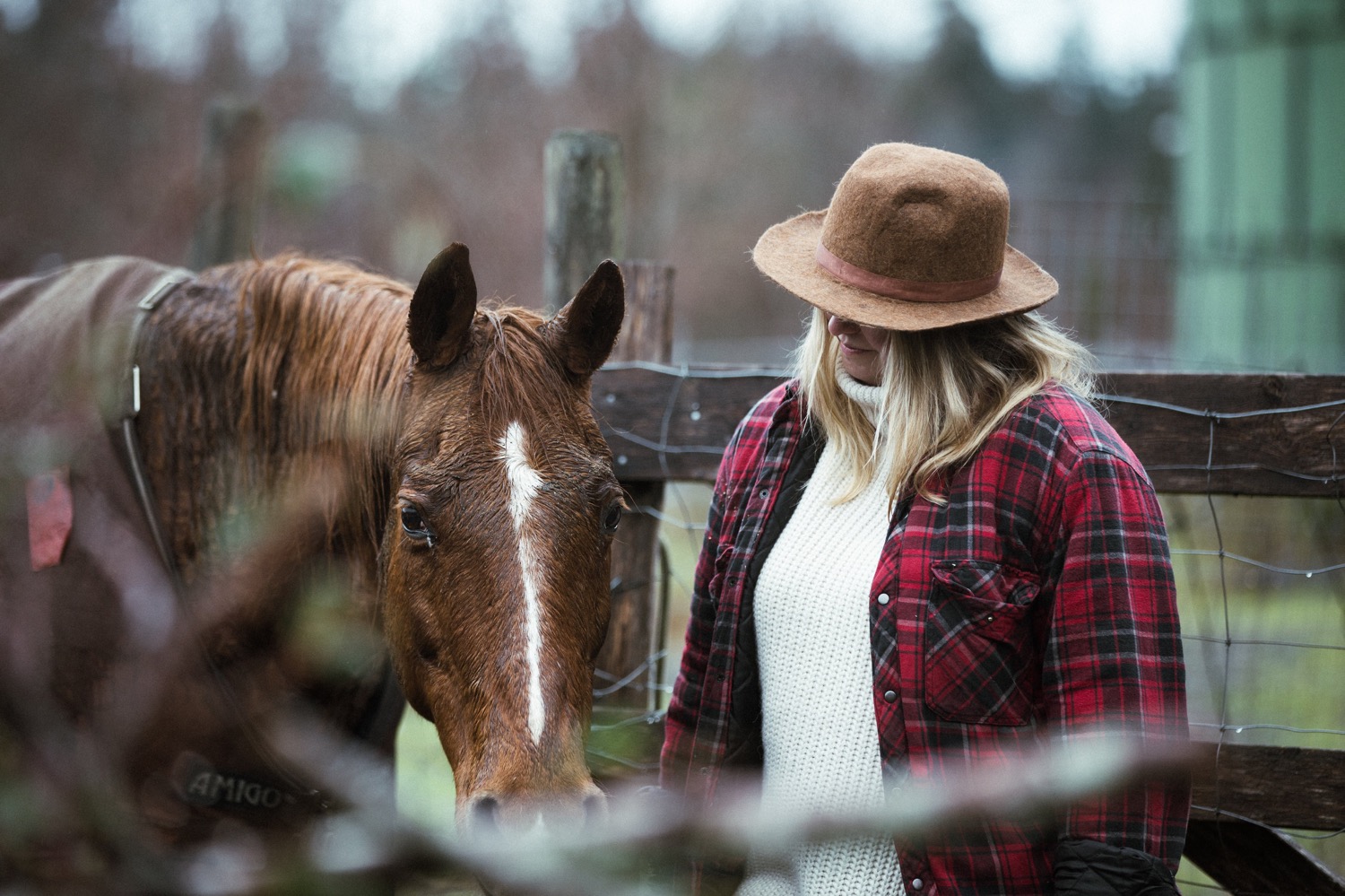 Equestrian Essentials: 7 Things You Need for Riding 8