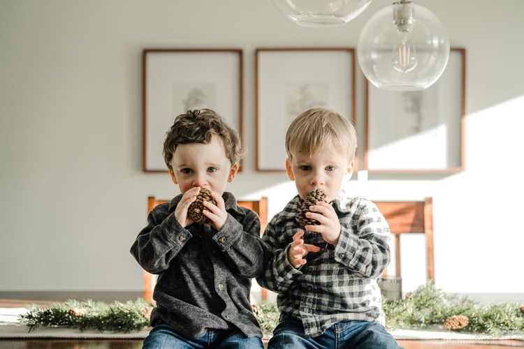 Twin boys sitting side by side eating a pinecone during in-home family session