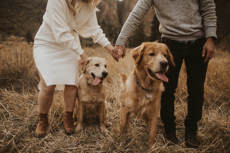 Engagement With Golden Pups At Smith Rock Bend Or Alex Elise Photo