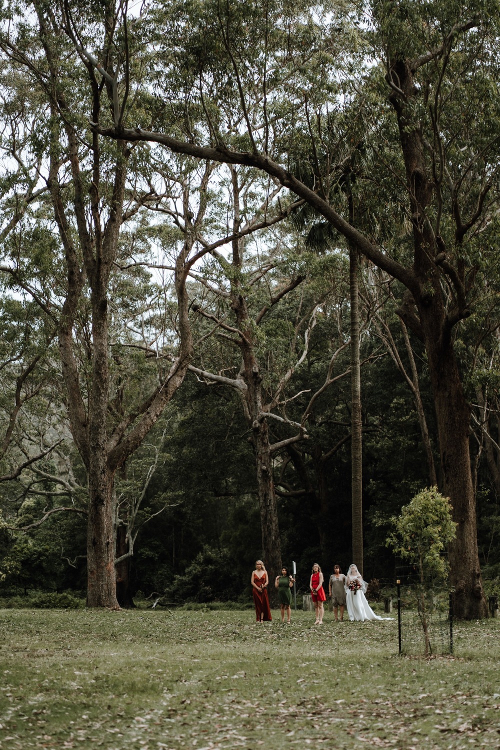 Trails from Audley, Eagle Rock - Audley Dance Hall