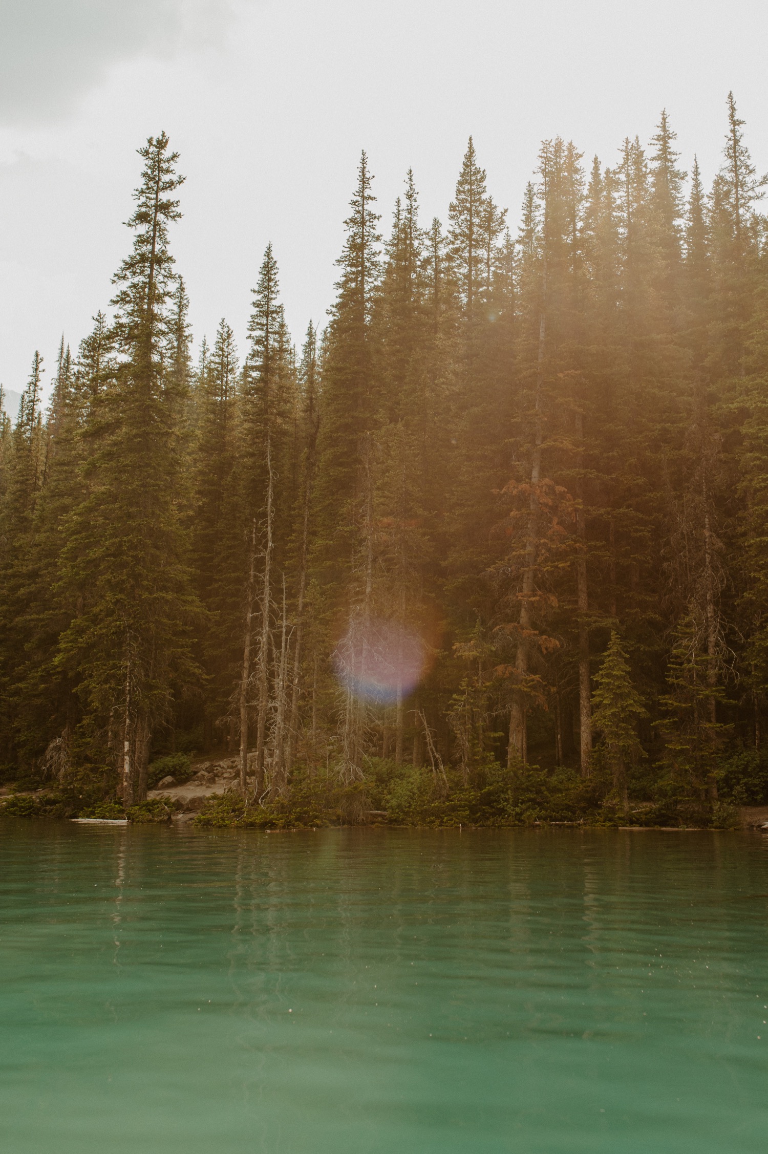 sun flare shot of forest around Moraine Lake in Banff National Park