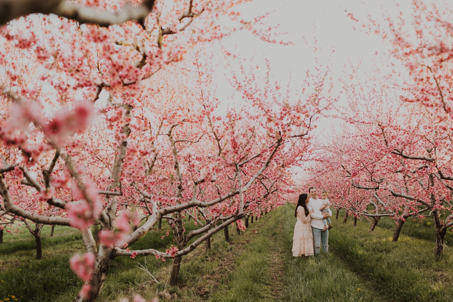 The Knight Family — Tori Brooke Photography