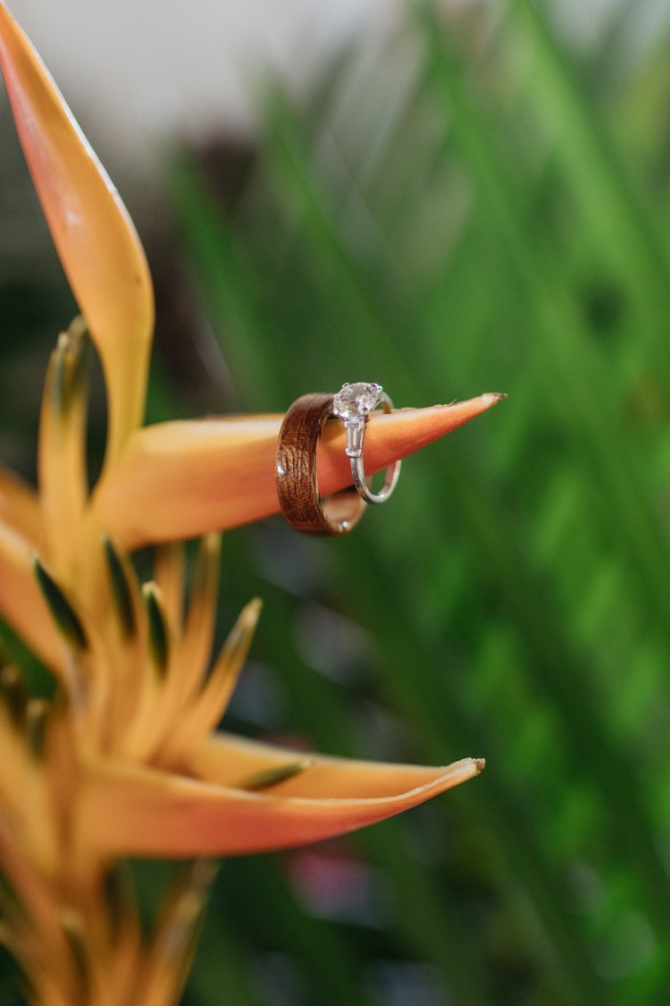 Rhys & Jayme // Gorgeous Surprise La Jolla Proposal — Valerie Lendvay Photo