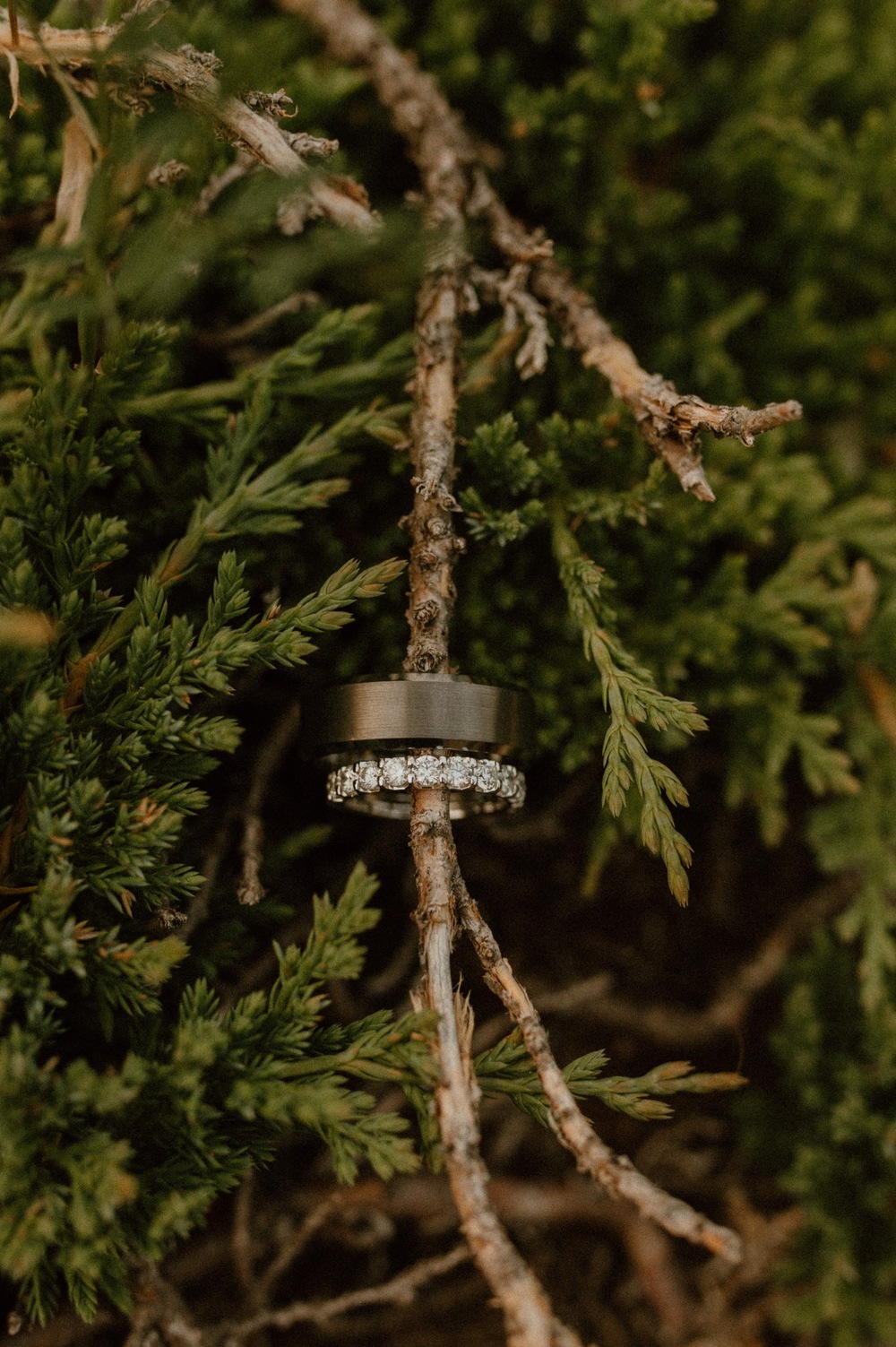 detail shot of rings in bush for a mountain elopement during wildfire season in Banff Alberta