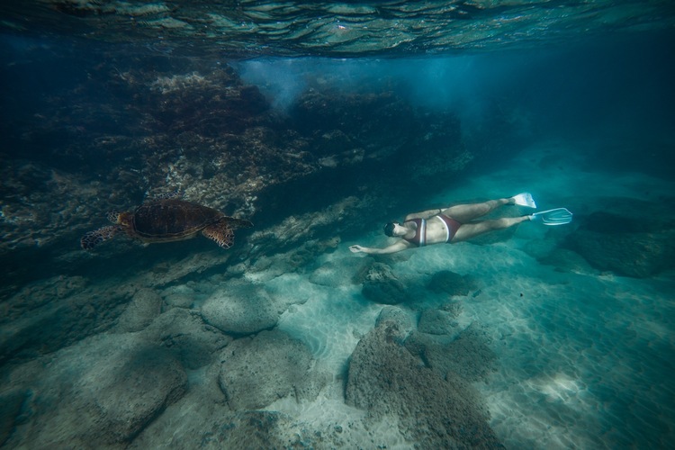 Underwater Photographer Free Diving Deep To Ocean Floor In Hawaii