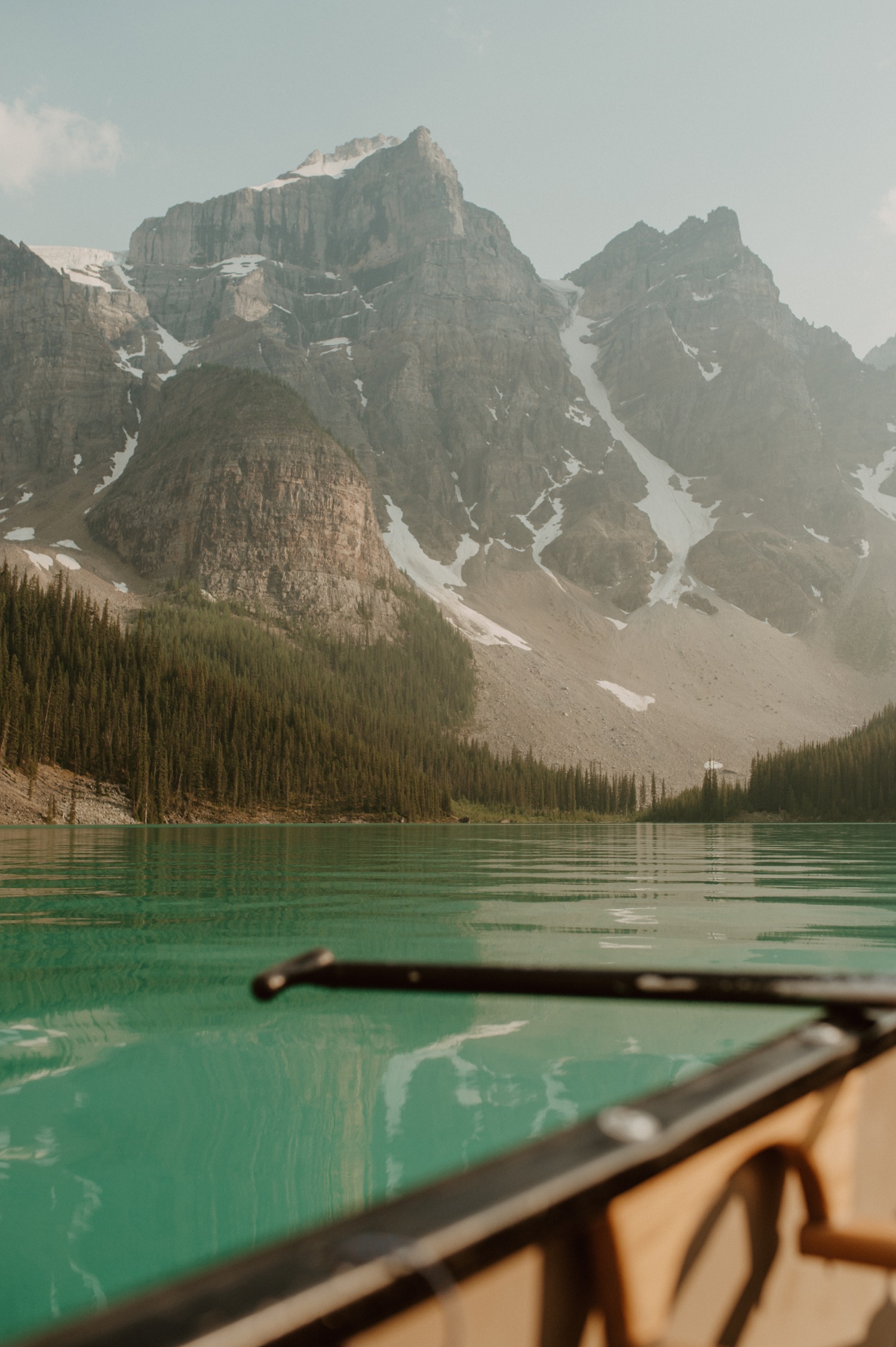 close up detail shot of nature at Moraine Lake from a summer canoe trip in Alberta Canada