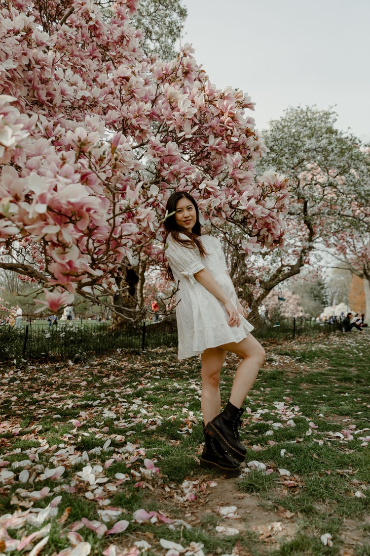 central park in spring — Marilyn Lamanna Photography