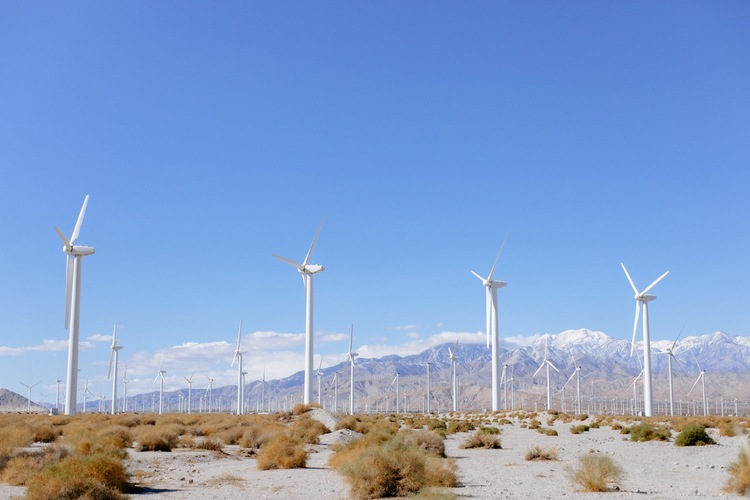 Pin de Cornelia Yupano em Windmills