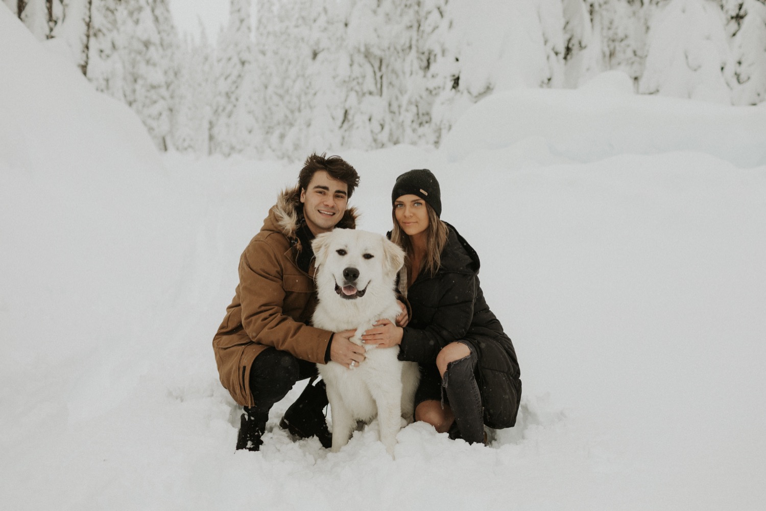 are dogs allowed at snoqualmie pass