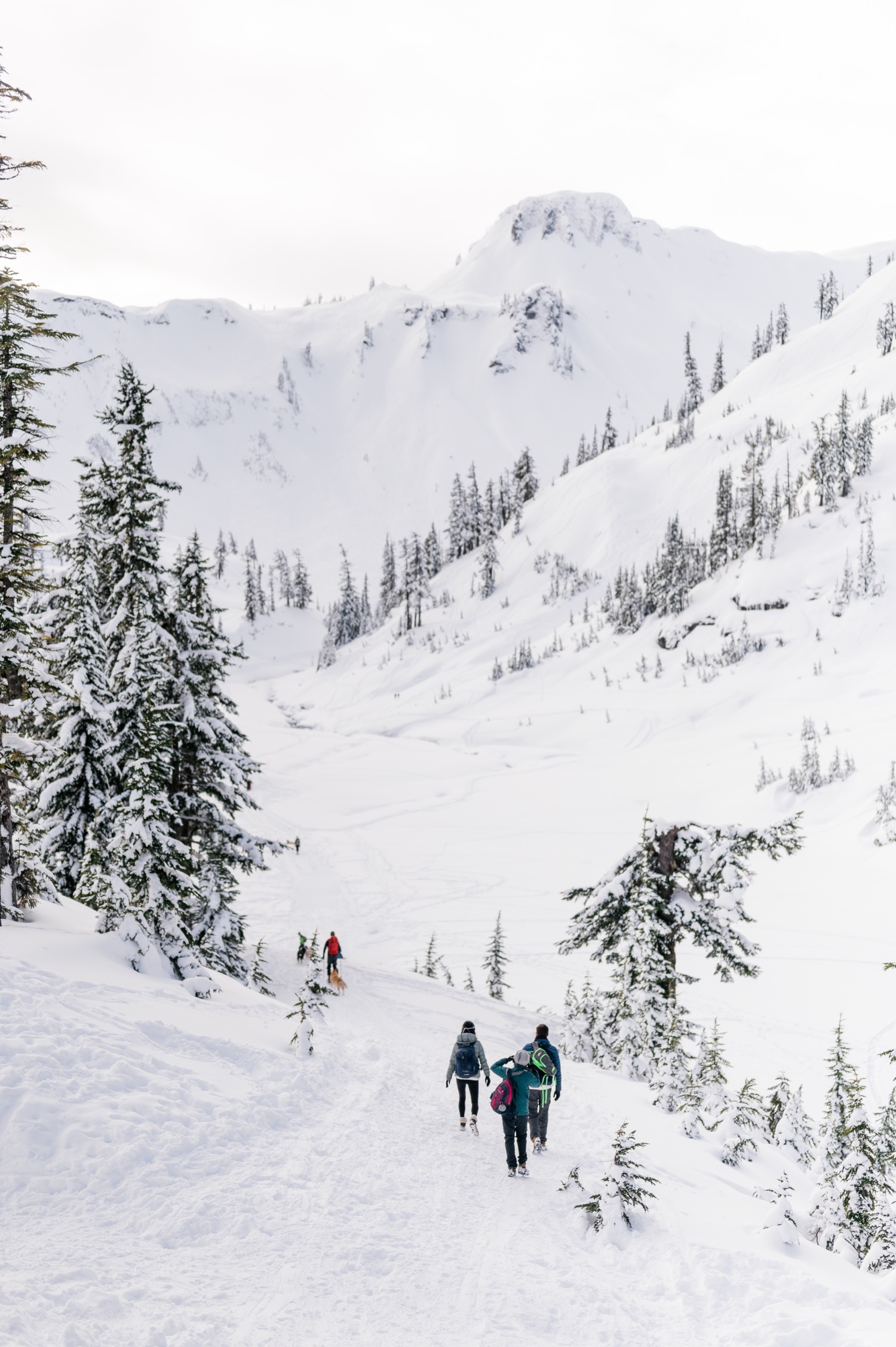 Winter Artist Point Newlywed Adventure Session - Forthright Photo ...